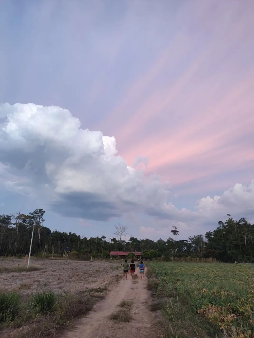 Sítio em Mucajaí  - Foto 2