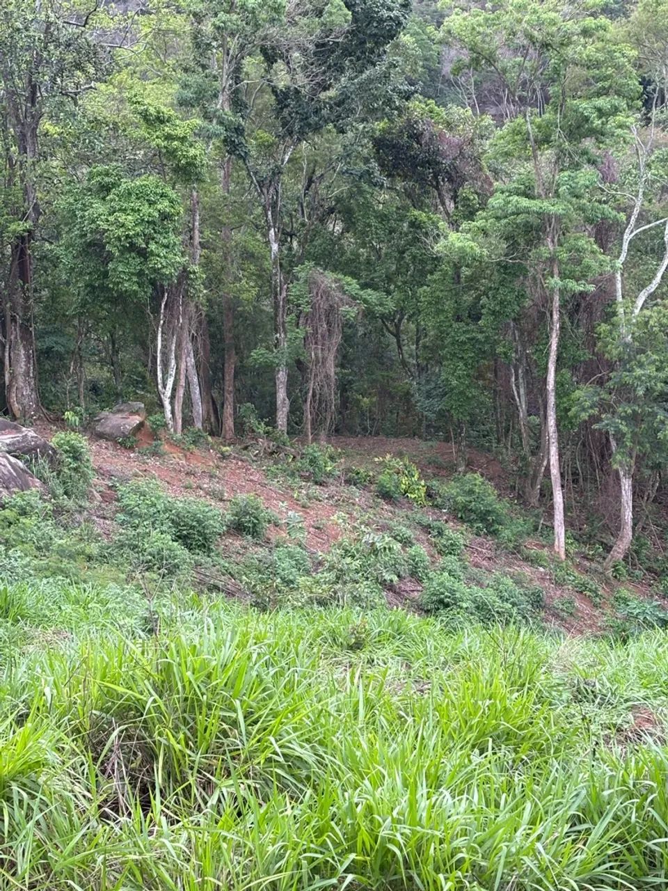 Terreno em Boa Vista - Foto 5