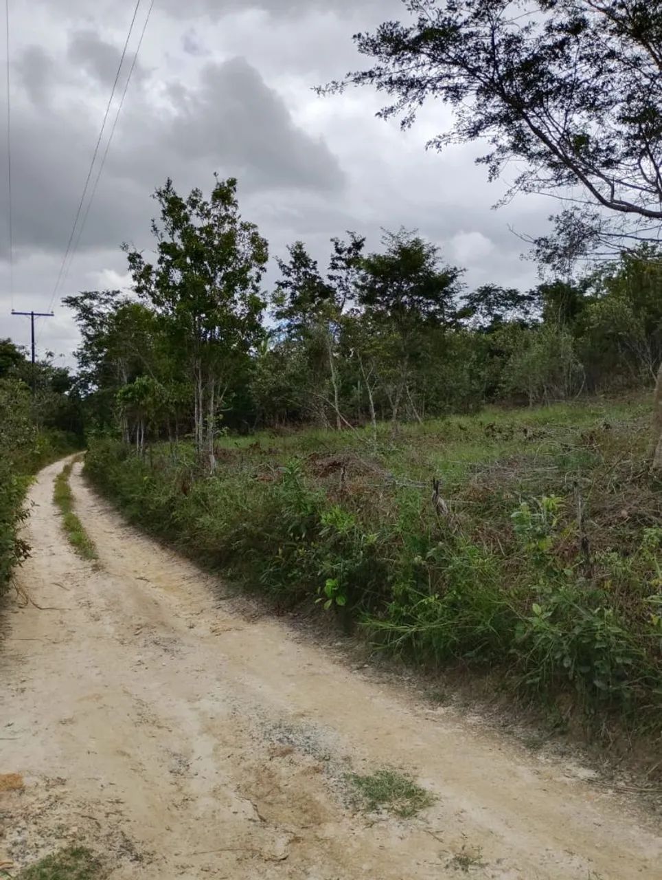VENDO SITIO EM CATU-BA 