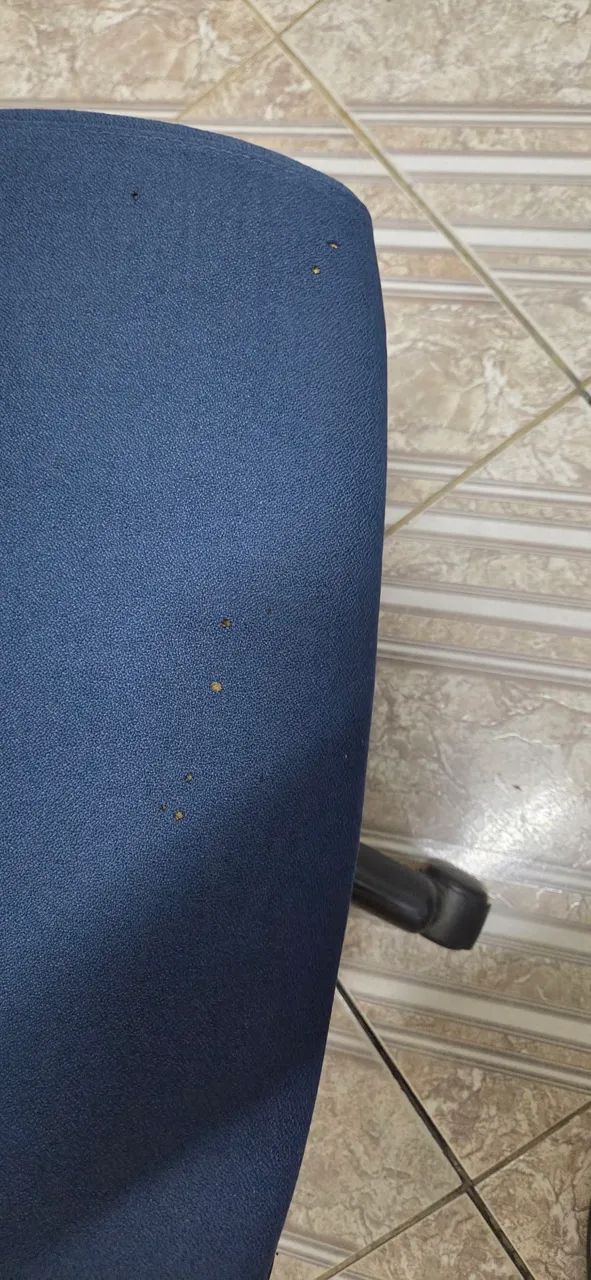 Cadeira de escritório Cavaletti - Foto 4