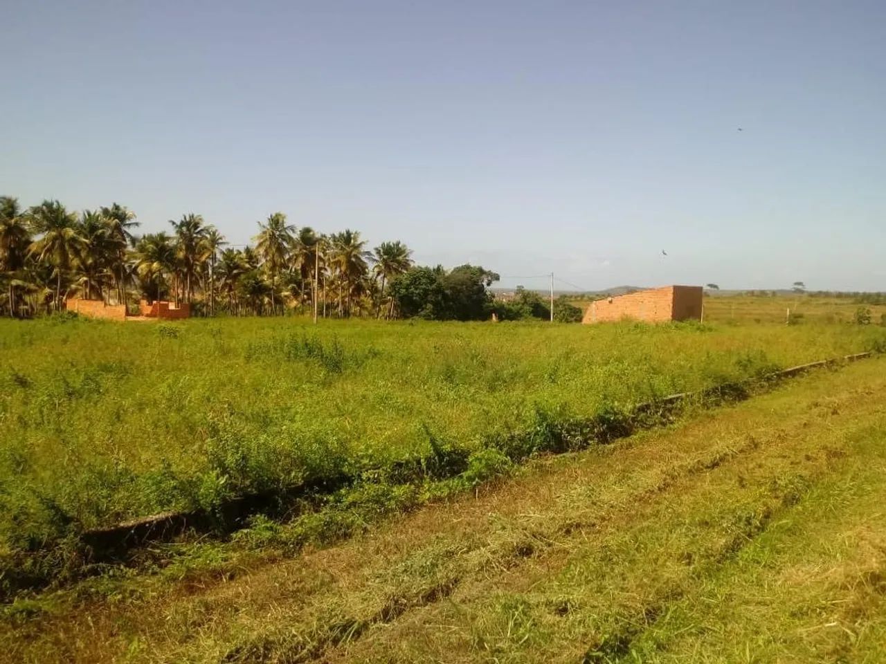 Terreno em Marechal  - Foto 2