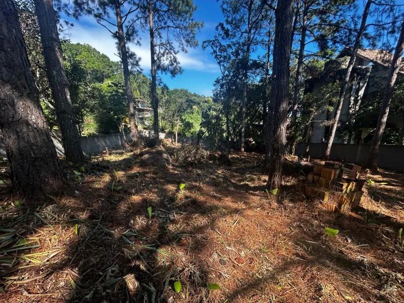 Terreno - Florianópolis SC - Foto 4