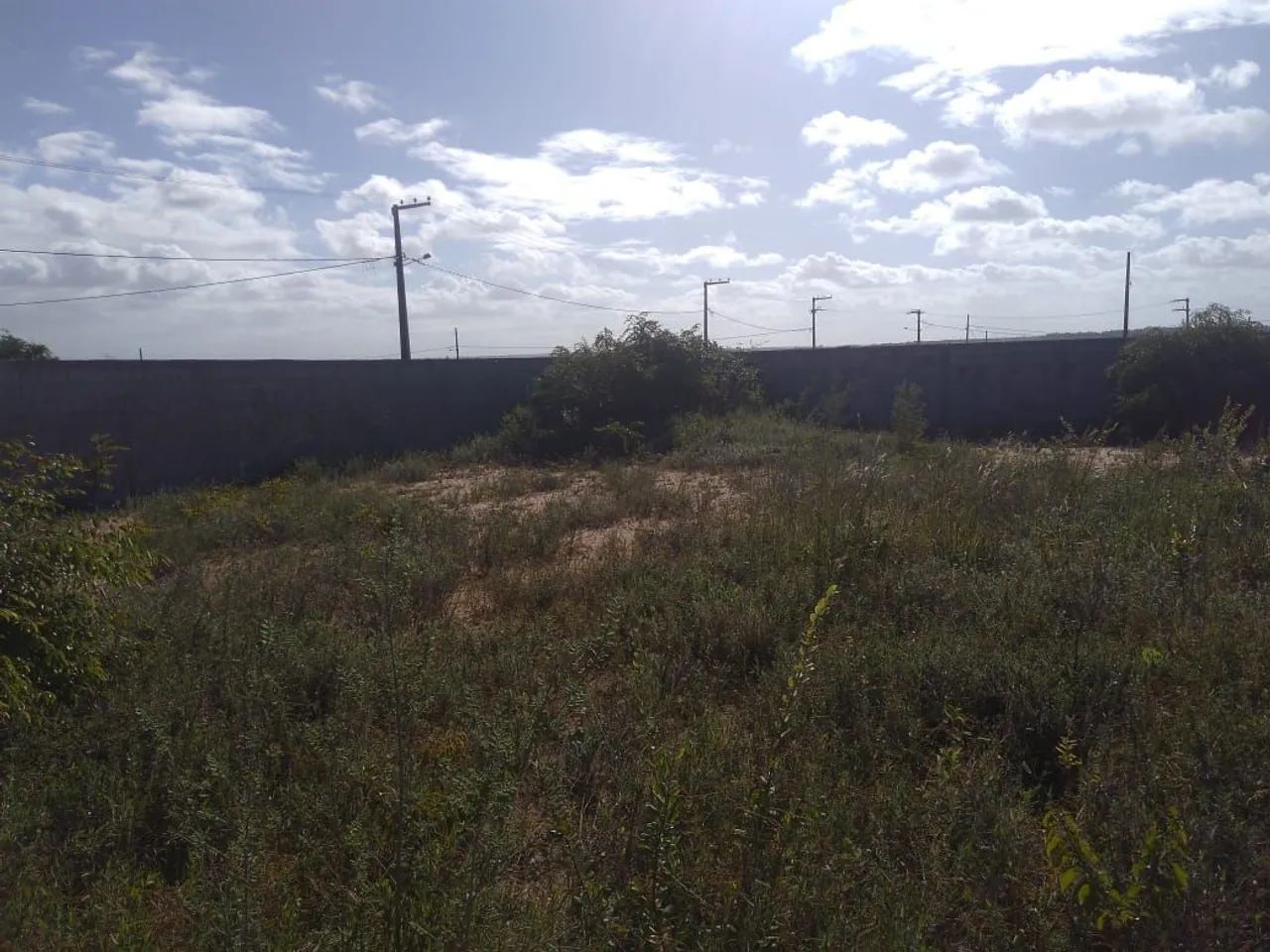 12 Terrenos  - Foto 2