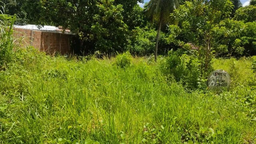Terreno 200m² - Foto 2