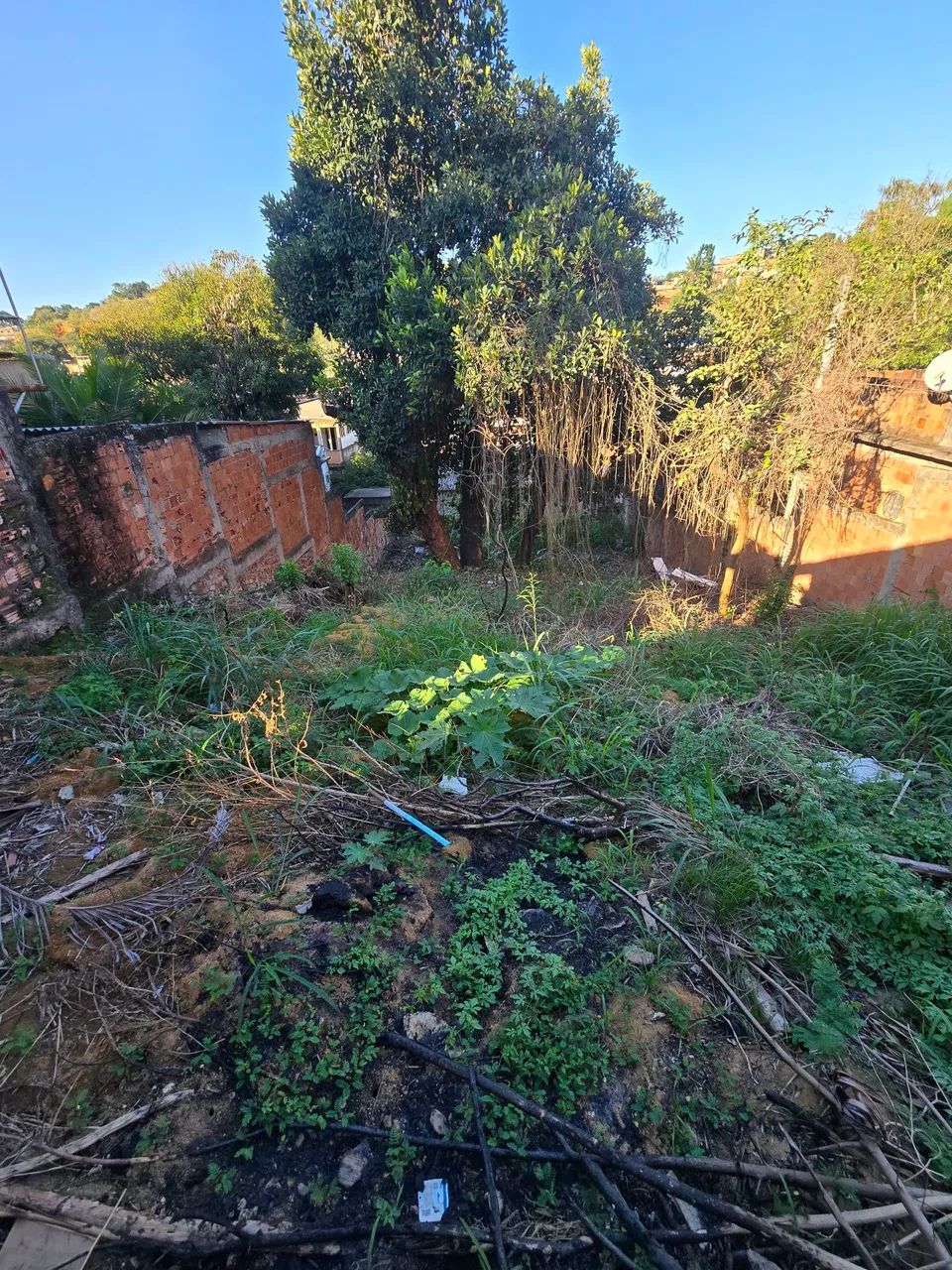 Terreno a venda - Foto 2