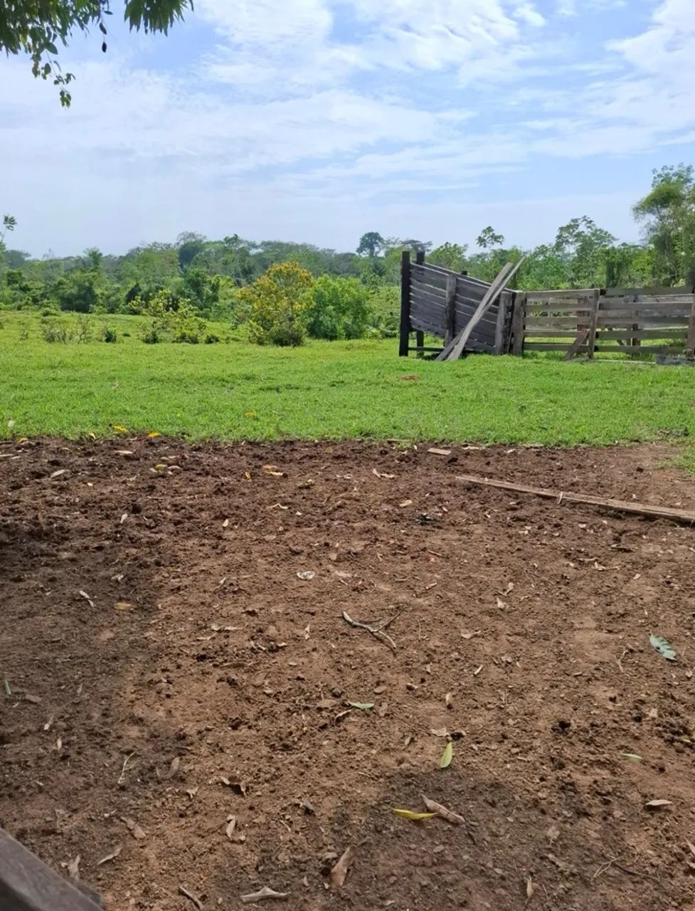 Colônia a venda  - Foto 3