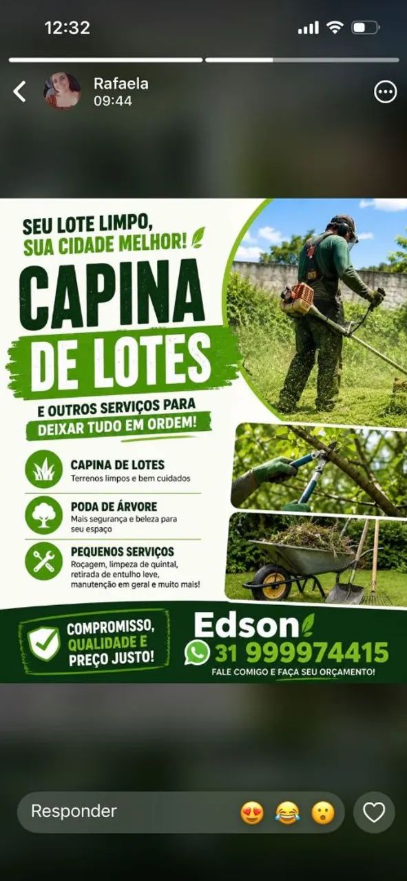 Limpeza de lotes 
