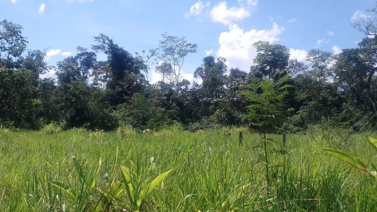 Vende - se uma área de terra com aproximadamente 100 hectares de terra - Foto 4