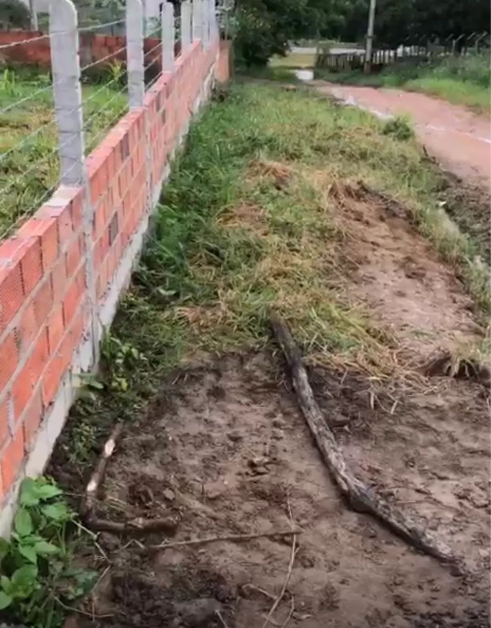 Foto - São Cristóvão - 