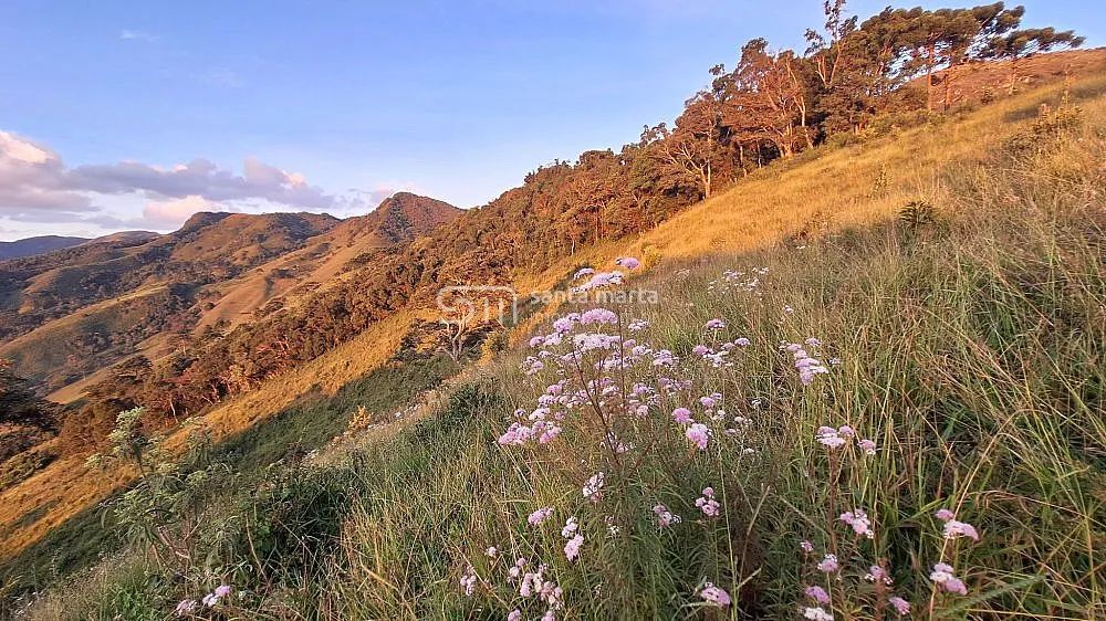 SÍTIO PANORÂMICO  TOPO DA SERRA DA BOCAINA - SILVEIRAS  SP - Foto 5