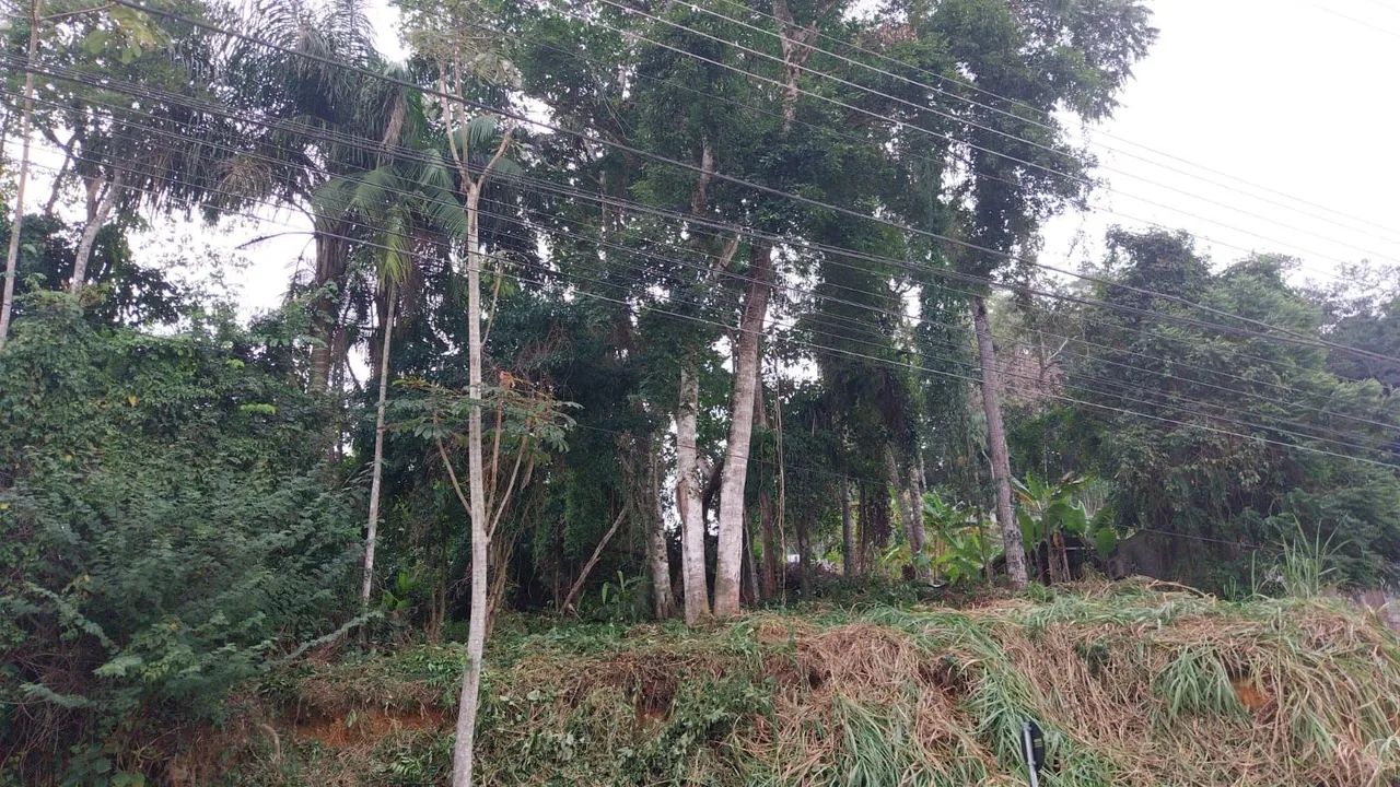 Terreno  - Foto 3