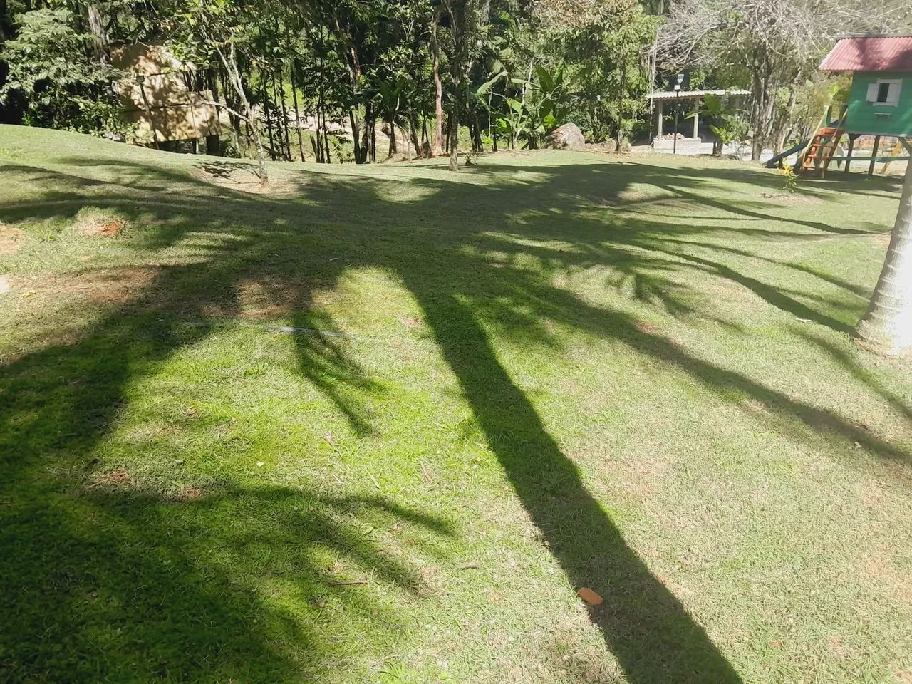 Paisagismo e jardinagem  - Foto 3