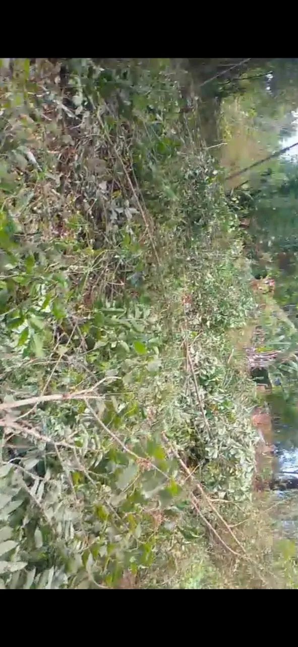 Terreno para sítio 