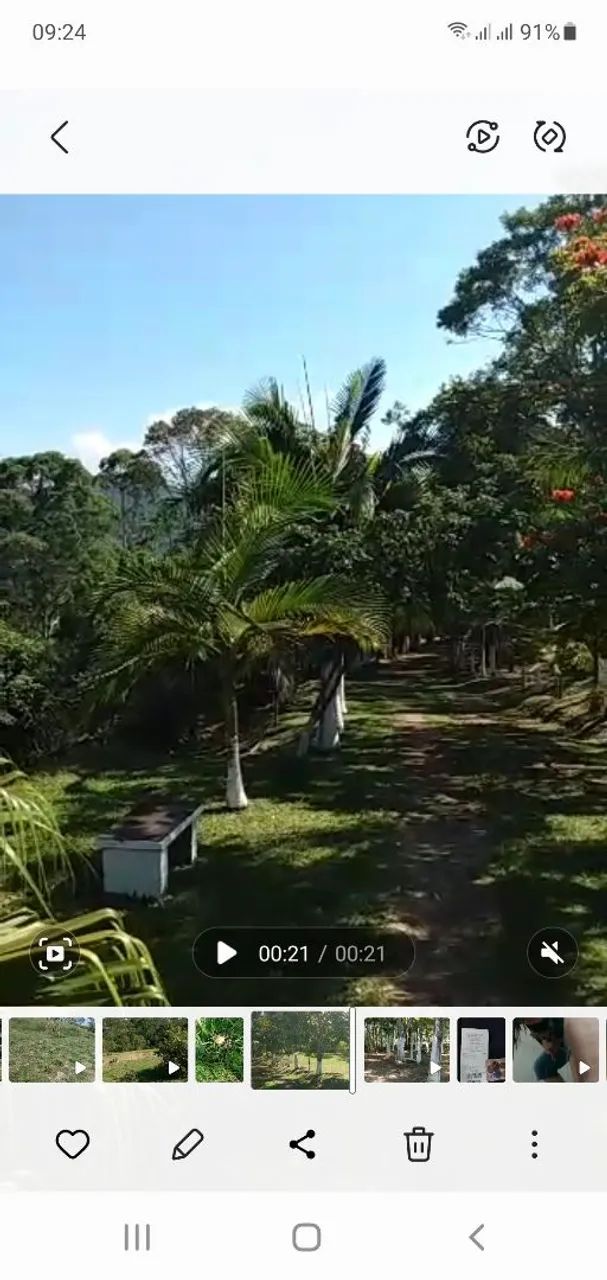 27.000 m2 em Ribeirão Pires s.p  - Foto 3