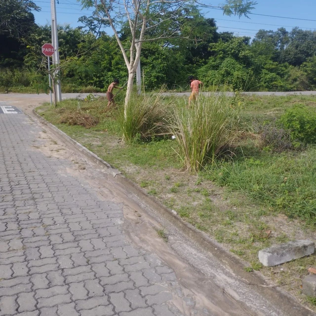 Lote