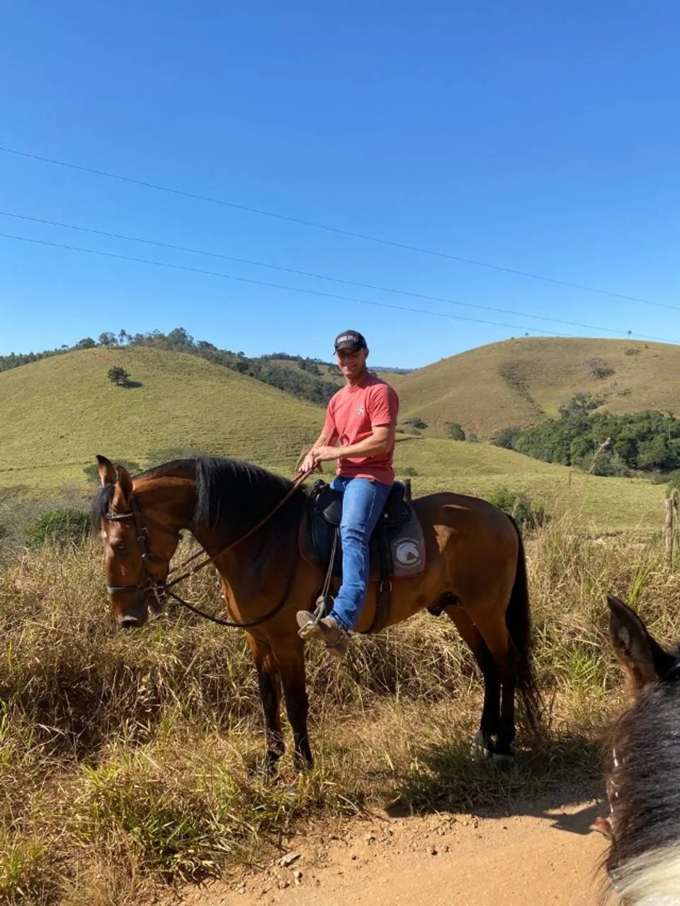 Cavalo - Foto 2