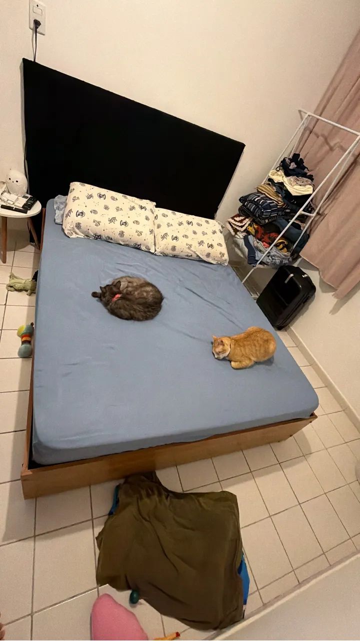 Cama + Colchão 