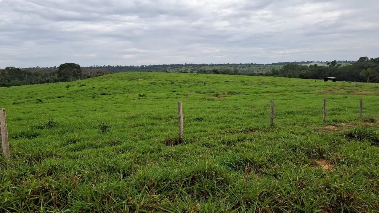 Fazenda  em Juina-MT - Foto 4