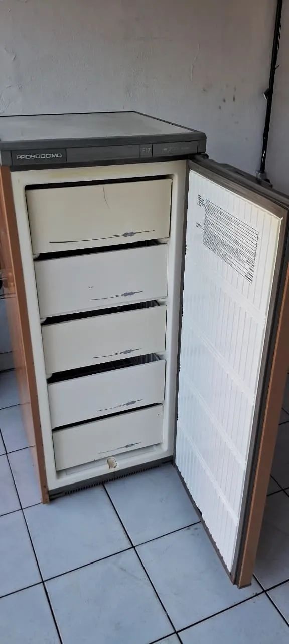 FREEZER VERTICAL PROSDOCIMO 127V ENTREGO - Foto 3