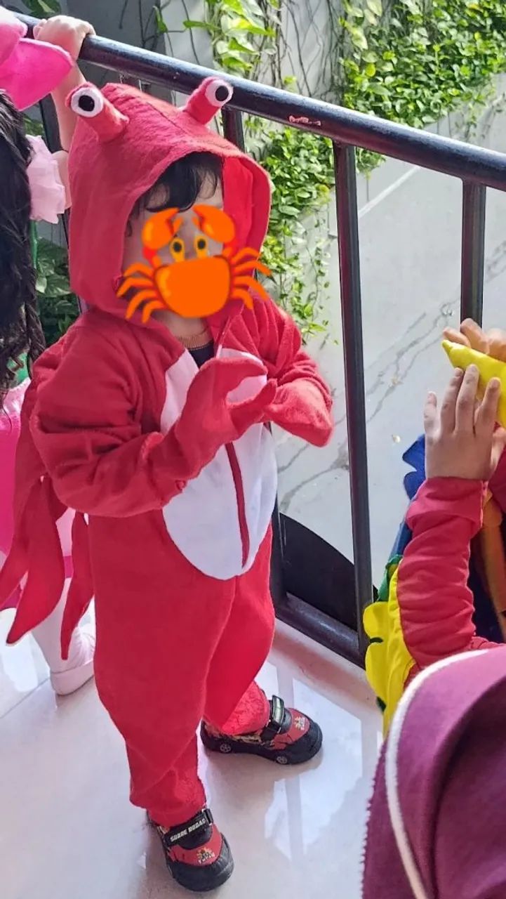 Fantasia de caranguejo infantil  - Foto 4