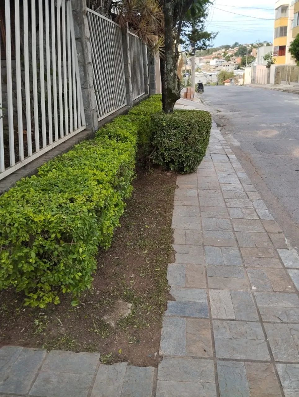 Faço serviço de jardinagem em geral  - Foto 3