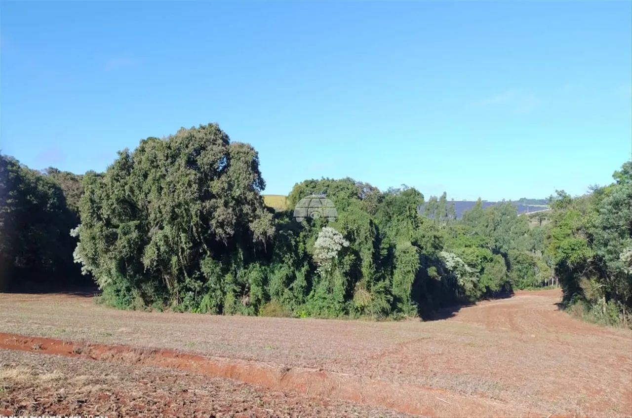 Vendas Área Pato Branco PR - Foto 4