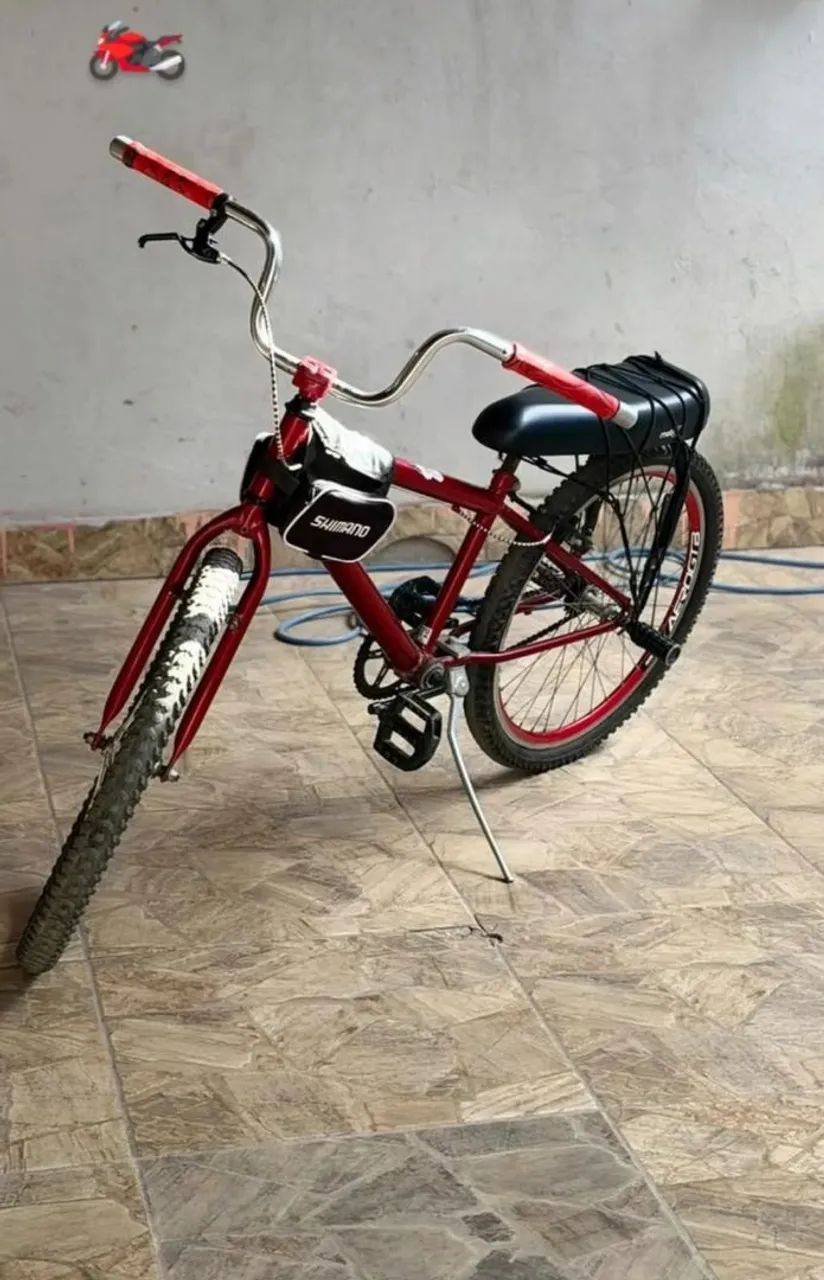 BICICLETA 