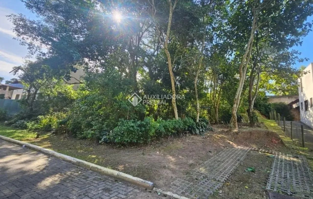 terreno em condominio RIO TAVARES - Foto 2