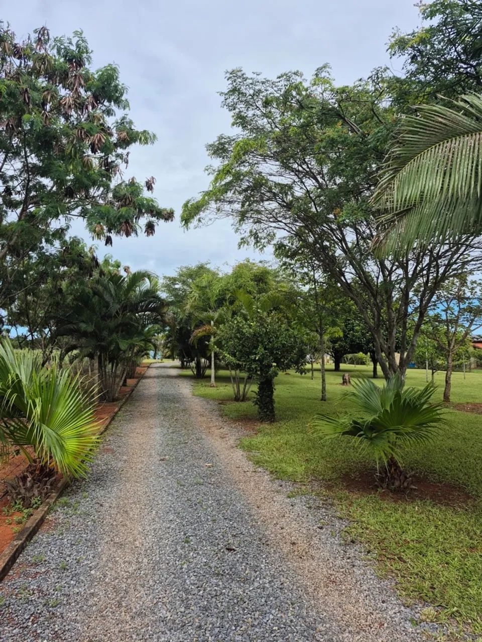 Foto - Brasília - Nuc R Lago Oeste