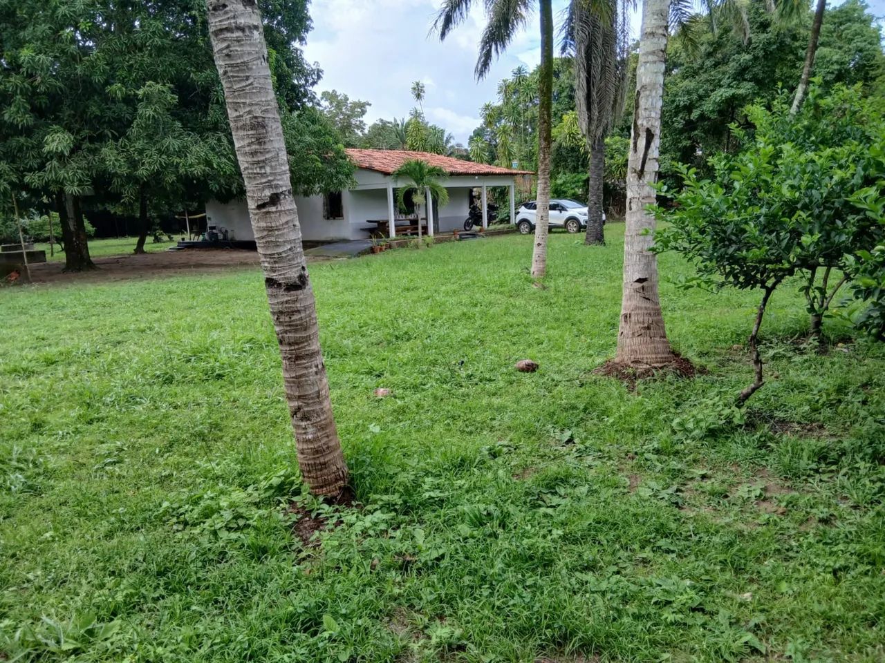 Sítio vila esperança  - Foto 4