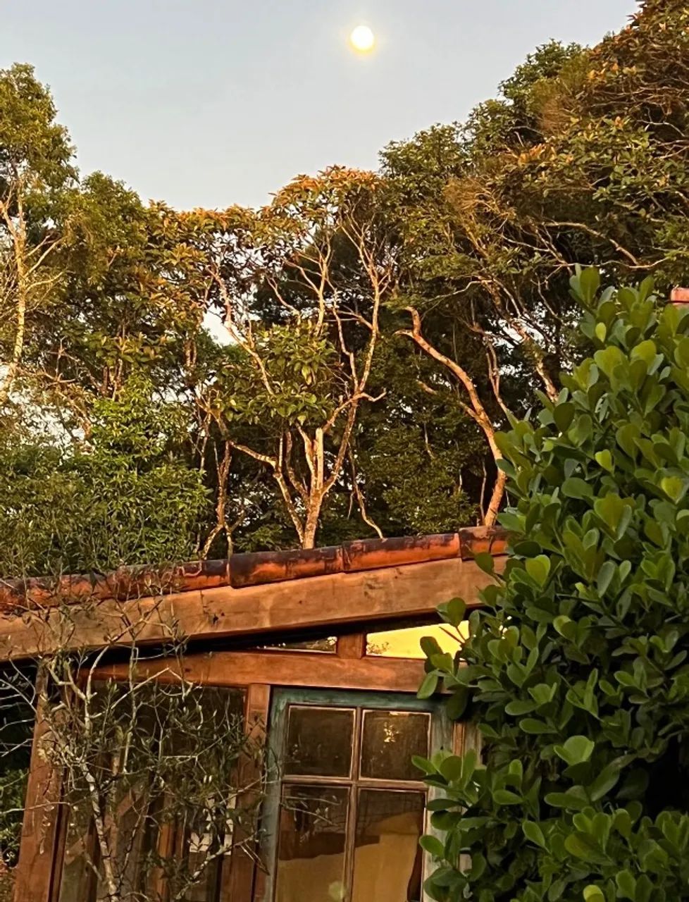 Sítio lindo 35mil m2 - Foto 4