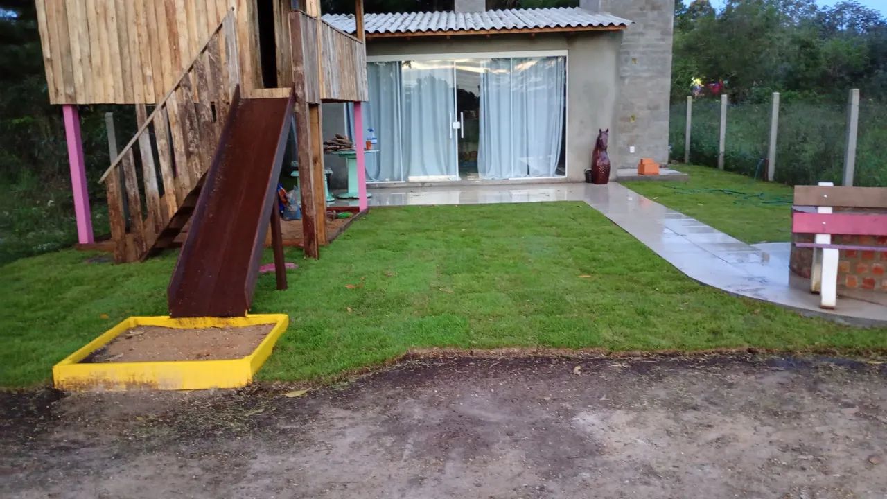 Terra preta e grama
