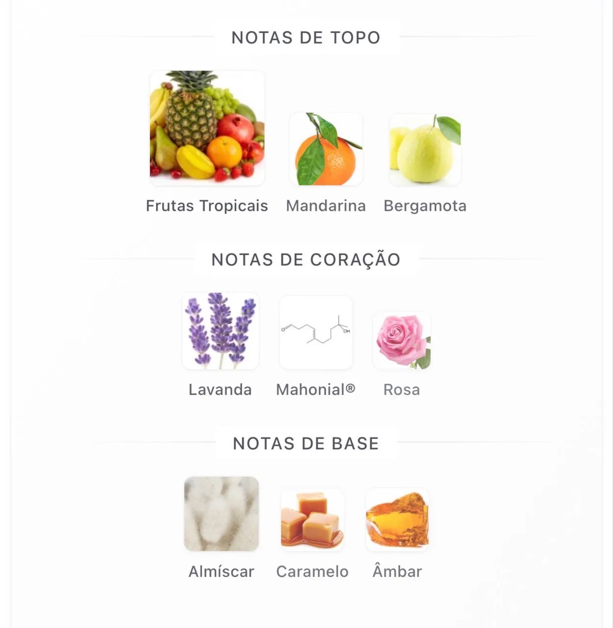 Perfume de Nicho Tropiques - Fragrance Du Bois EXTRATO DE PARFUM - Foto 5