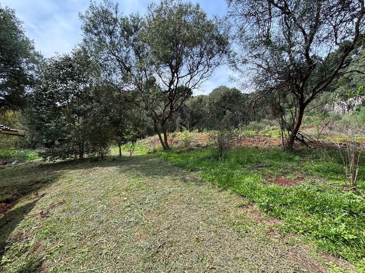 Vendo sítio 12.100m2 - Foto 3