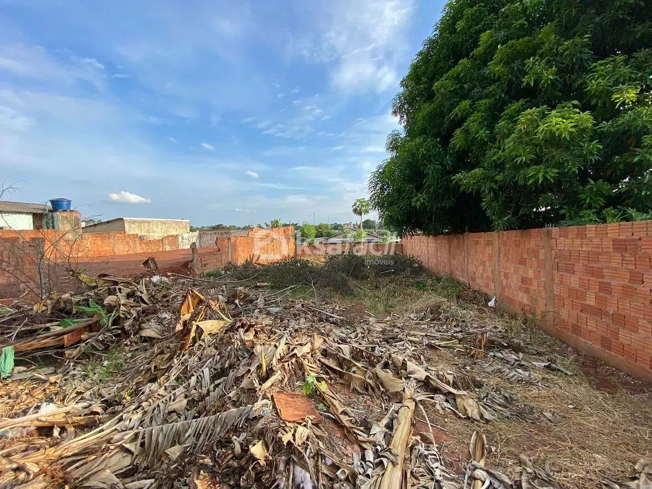 Terreno à venda, Vila Santo Eugênio, Campo Grande, MS - Foto 3