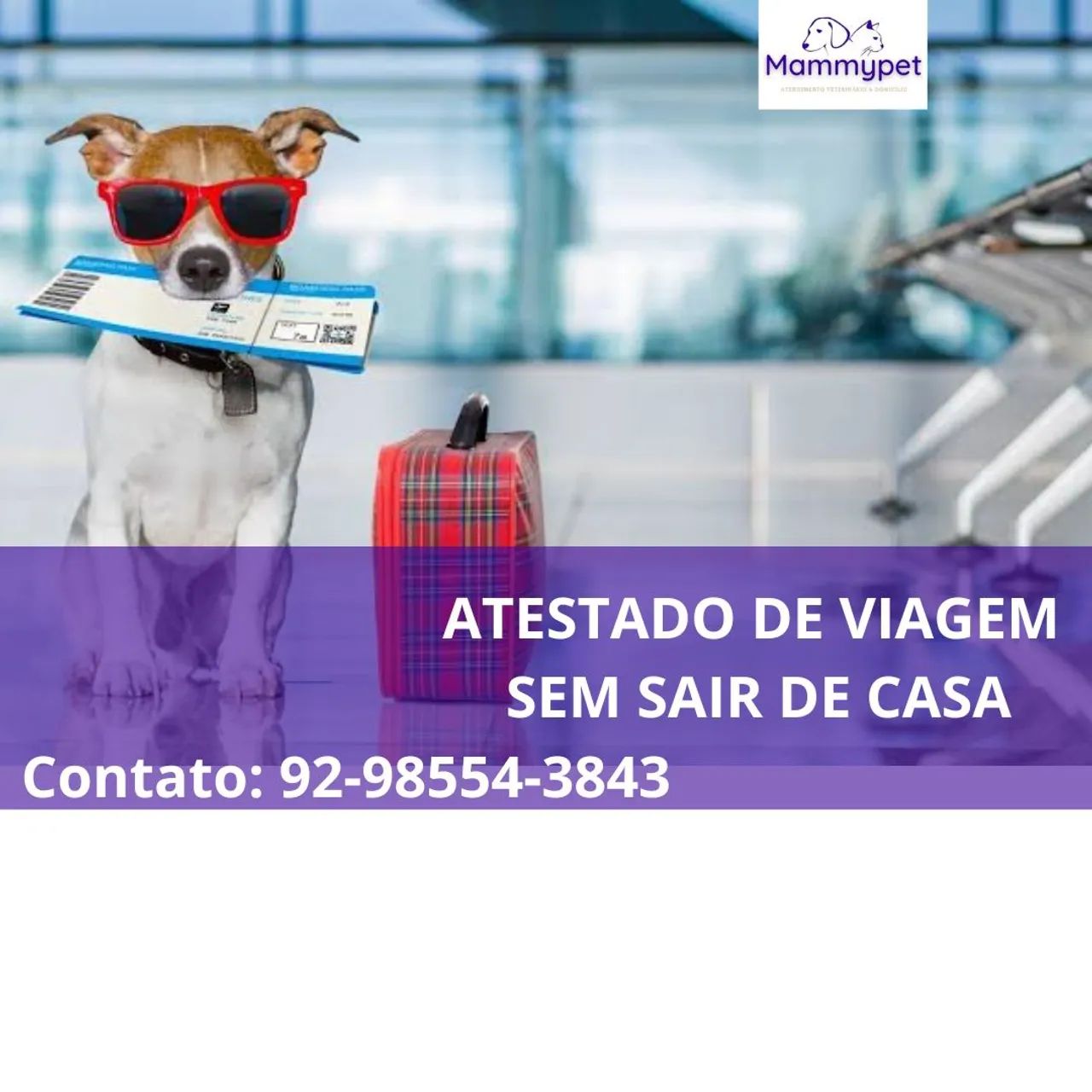 Atendimento veterinário em casa  - Foto 3