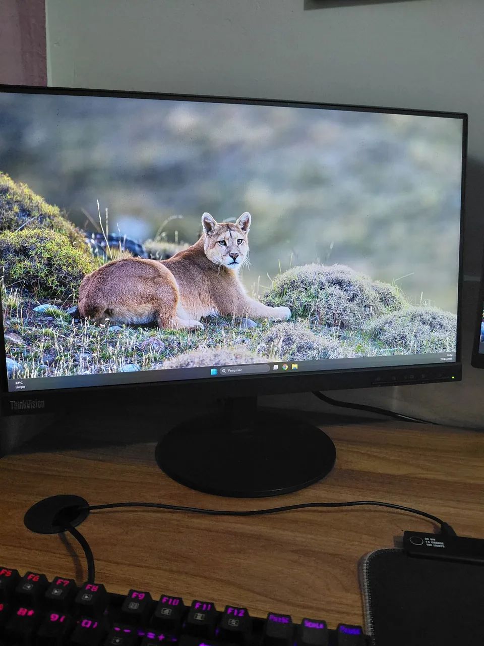 Monitor Lenovo ThinkVision 21,5"  S22e-19  - Foto 2