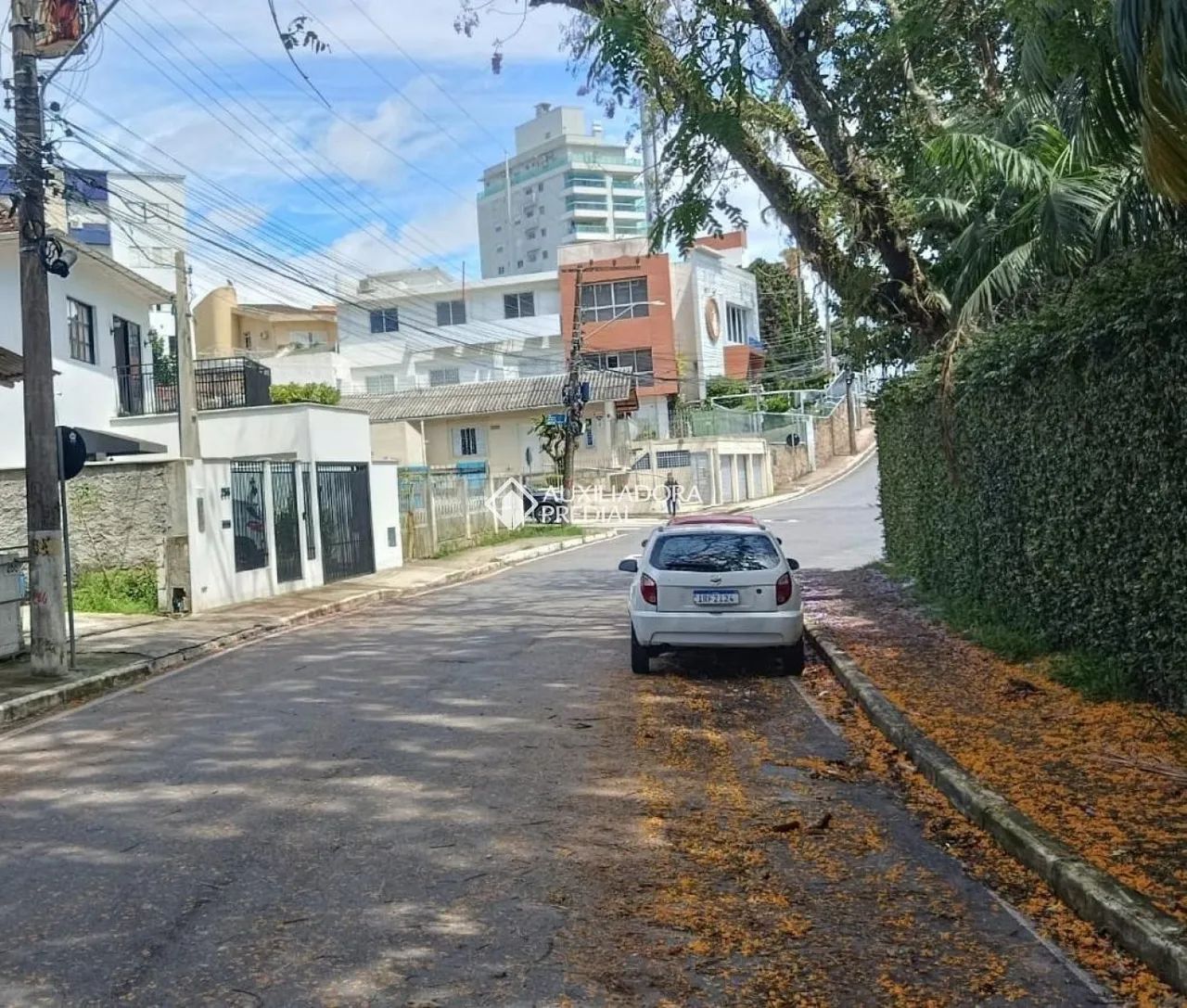 Kitnet 1 quarto(s), no bairro Agronômica - Foto 4