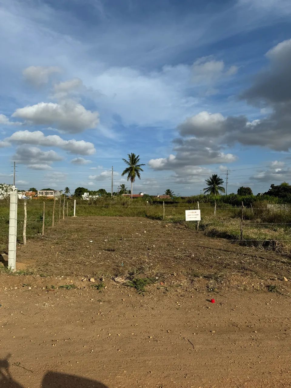 Lote 7MTX21MT - Foto 2