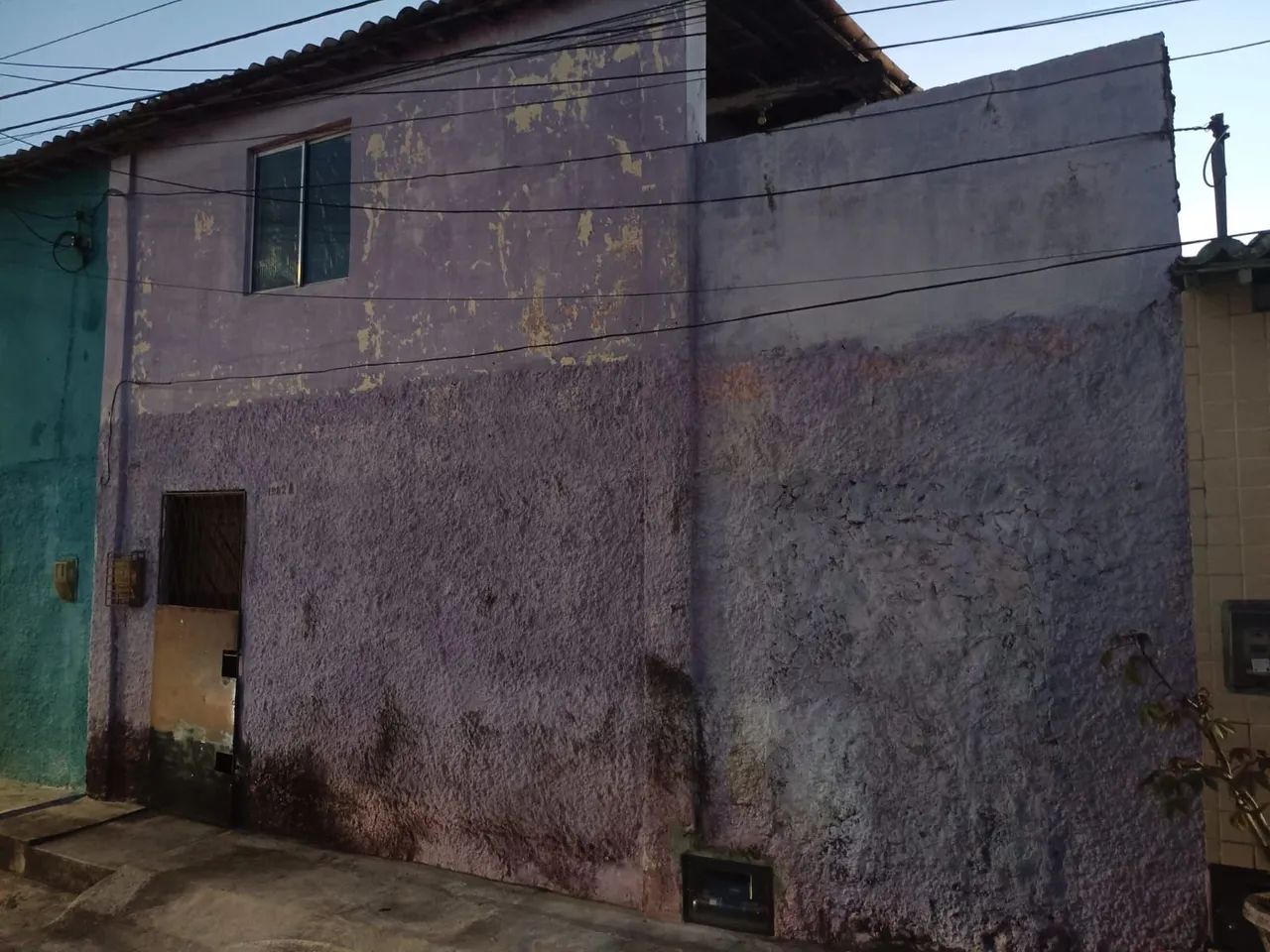 Foto - Natal - Alecrim