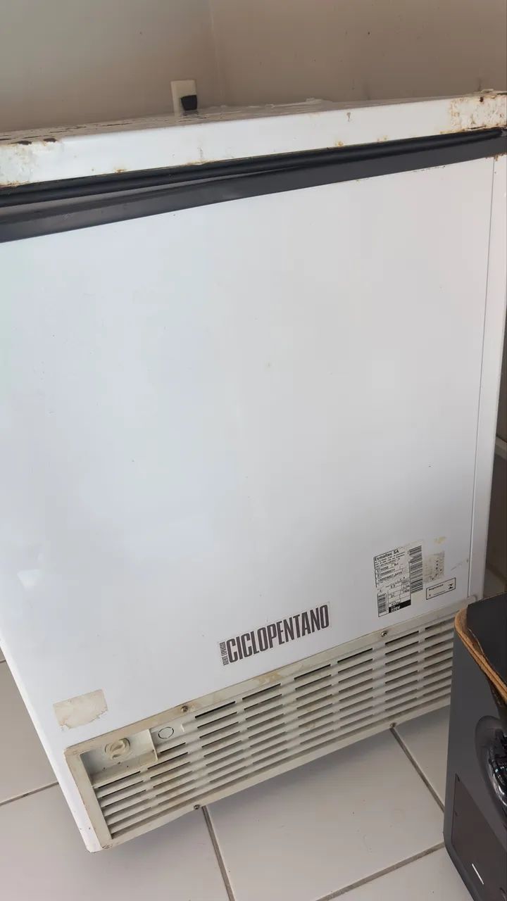 Freezer Esmaltec 214L - Foto 3