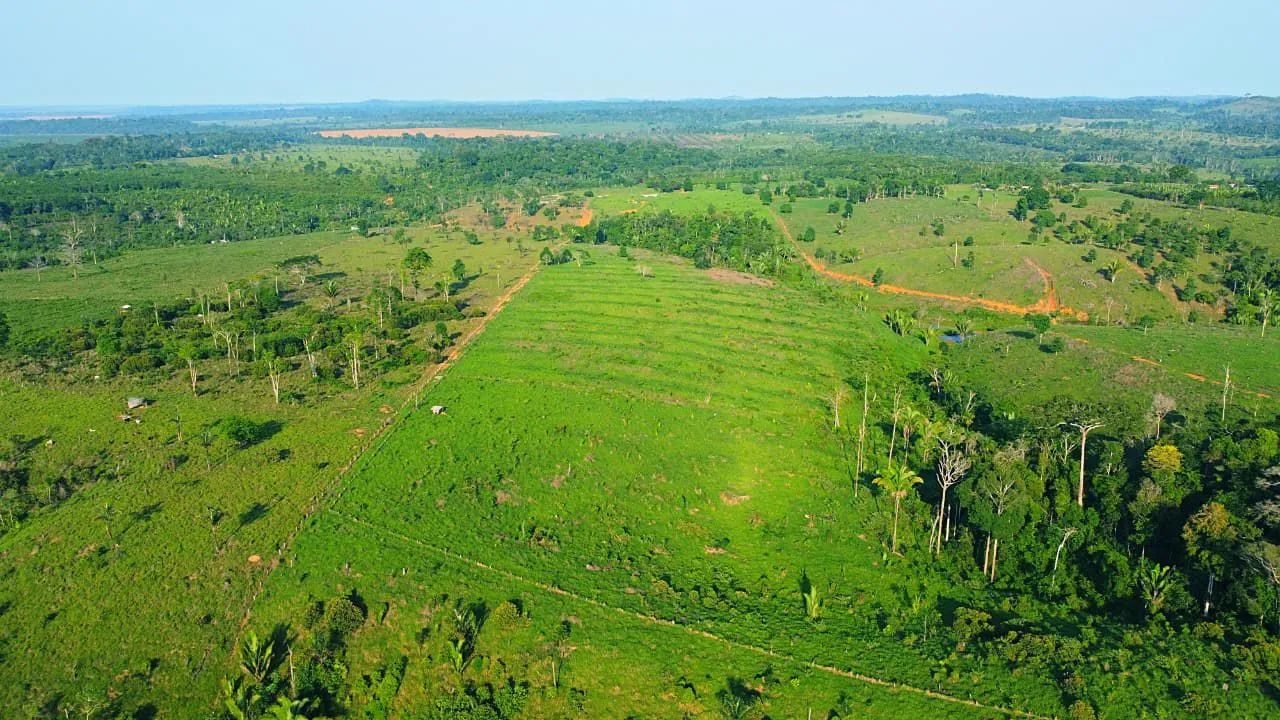 Terra (pasto formado)  - Foto 5