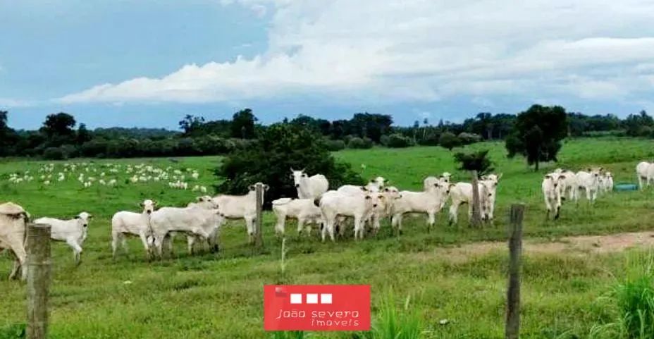 Fazenda para Venda em Sete Barras