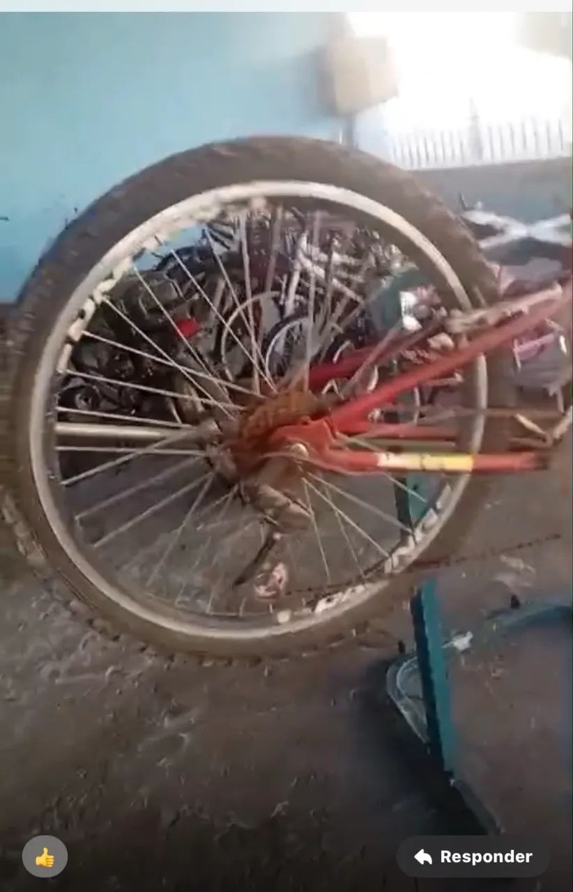 Bicicleta  - Foto 3