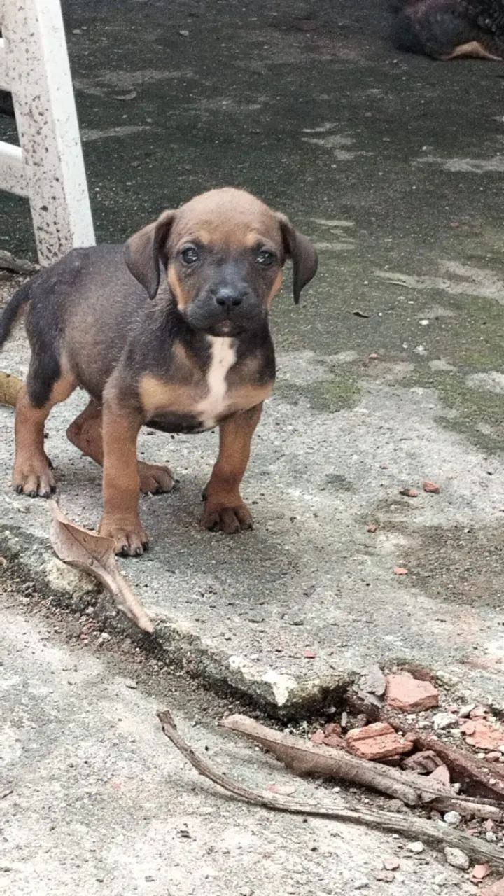 Doação 