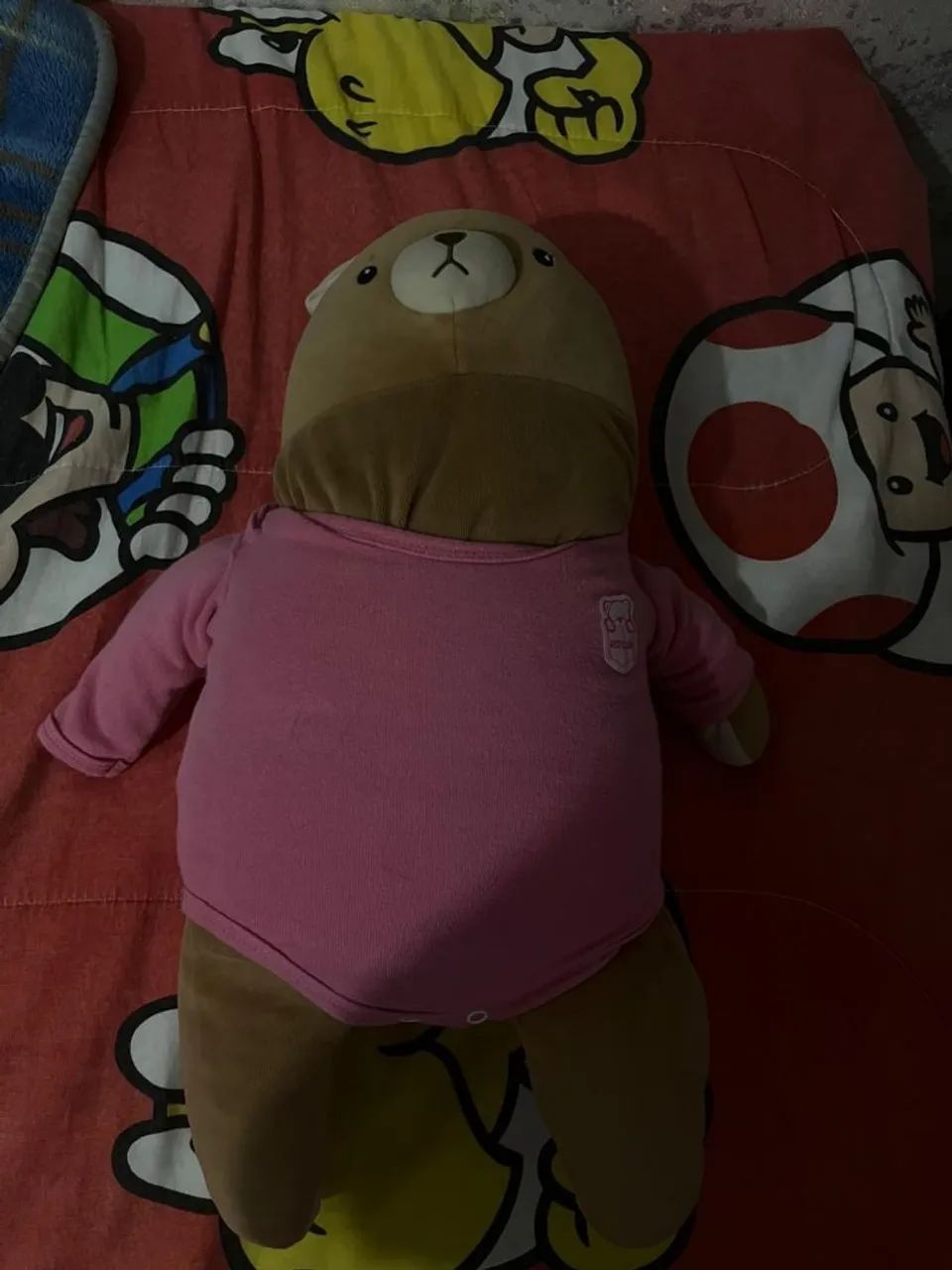 Coelho miniso - Foto 2