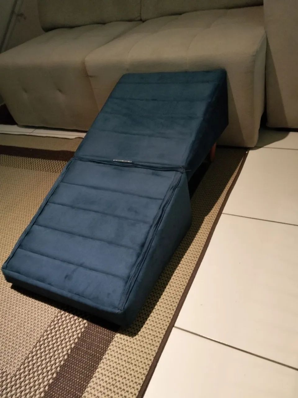Rampa para cachorro  - Foto 2