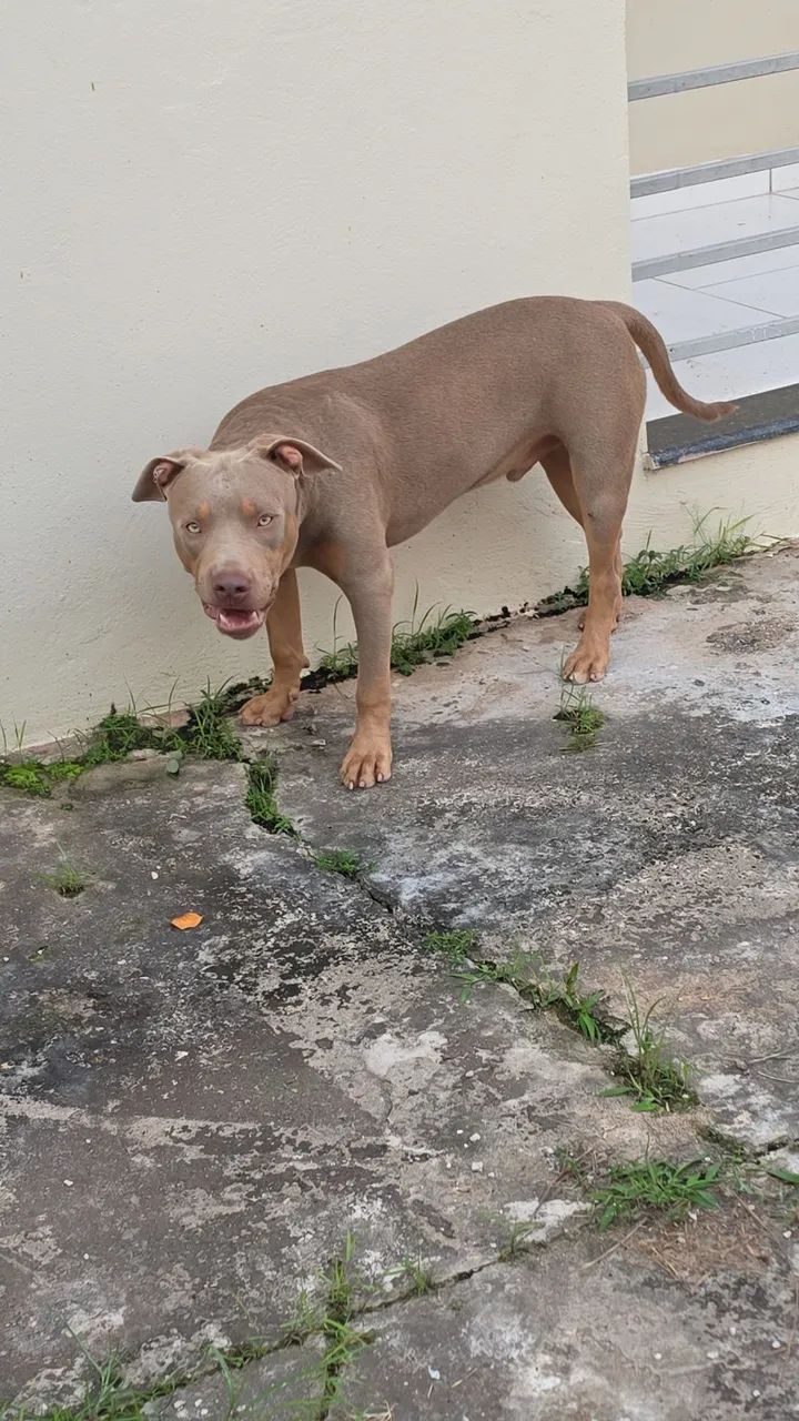 Disponível - Foto 2