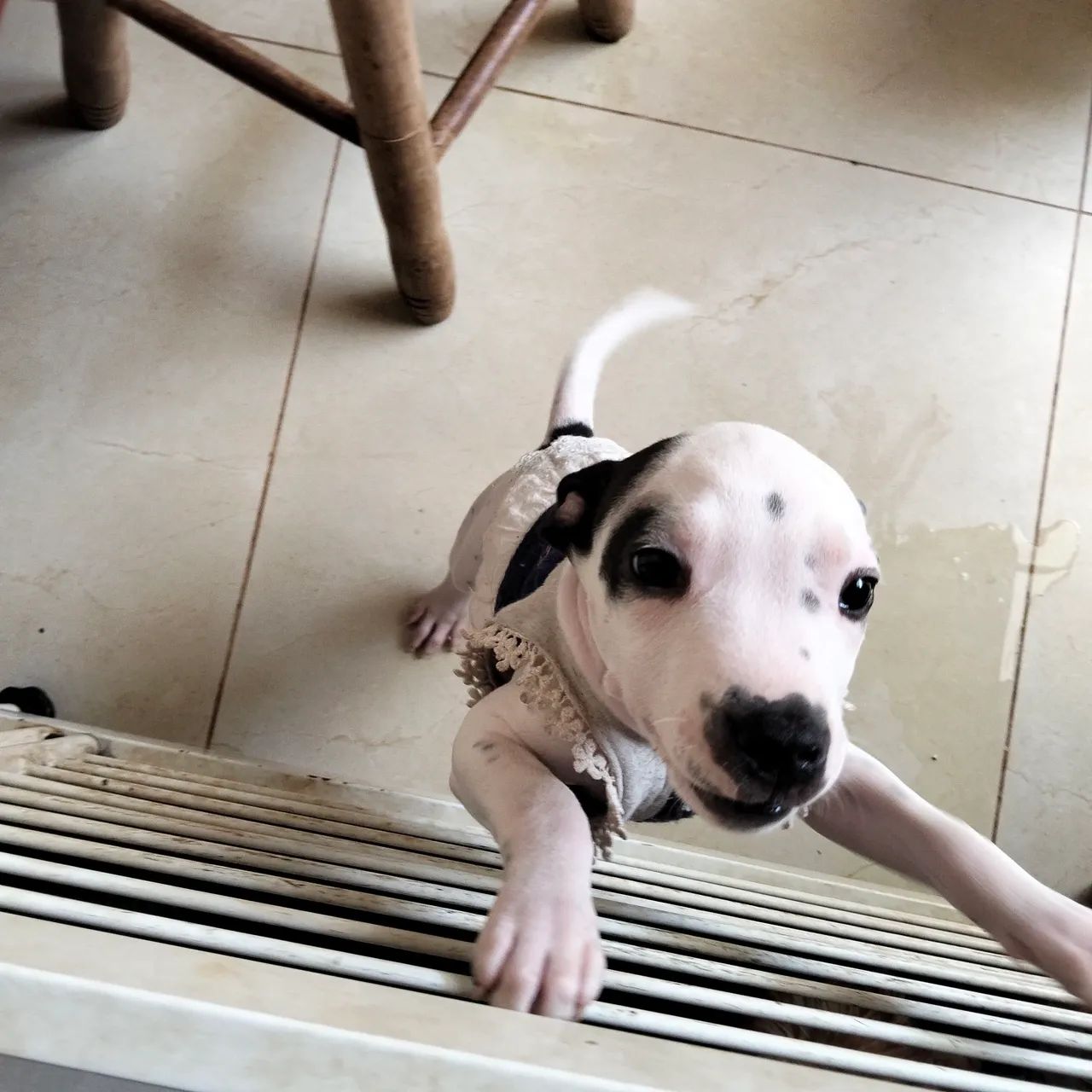 Uma princesa  - Foto 2