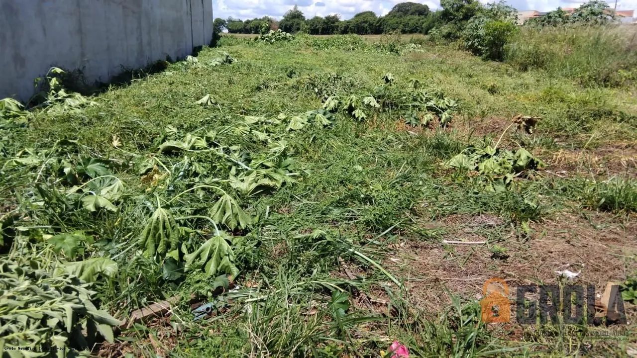 Terreno à Venda em Peabiru | PR - Foto 2